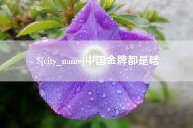 哈尔滨中国金牌都是啥