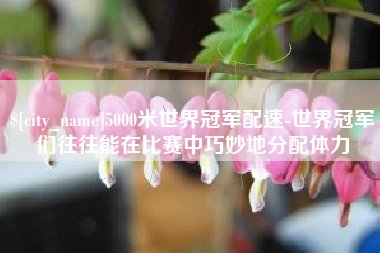 哈尔滨5000米世界冠军配速-世界冠军们往往能在比赛中巧妙地分配体力