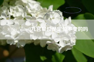 哈尔滨九宫星位是定位不变的吗