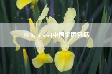 哈尔滨中国金牌包括