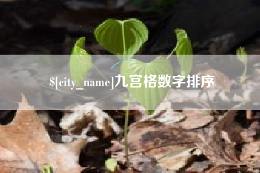 哈尔滨九宫格数字排序