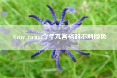 哈尔滨今年九宫格的不利颜色
