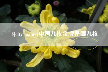 哈尔滨中国九枚金牌是哪九枚