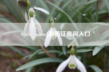 哈尔滨消防证查询入口