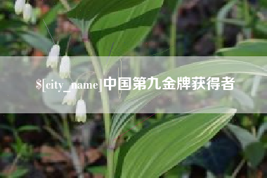 哈尔滨中国第九金牌获得者