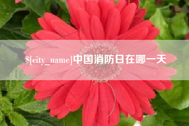哈尔滨中国消防日在哪一天