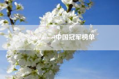 哈尔滨中国冠军榜单