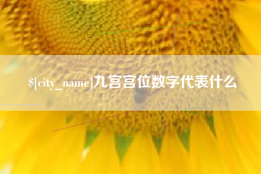 哈尔滨九宫宫位数字代表什么