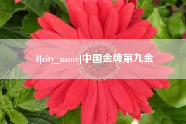 哈尔滨中国金牌第九金