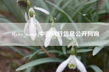 哈尔滨中国执行信息公开网询