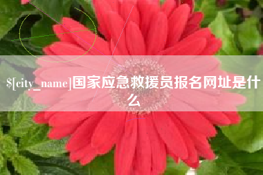 哈尔滨国家应急救援员报名网址是什么