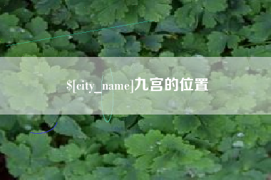 哈尔滨九宫的位置