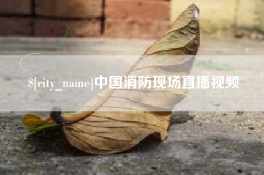 哈尔滨中国消防现场直播视频