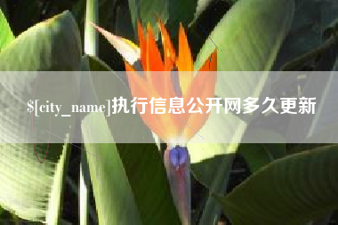 哈尔滨执行信息公开网多久更新