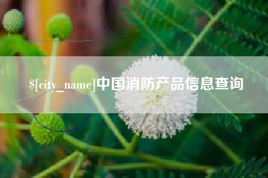 哈尔滨中国消防产品信息查询