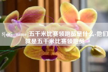 哈尔滨五千米比赛领跑员是什么-他们就是五千米比赛领跑员