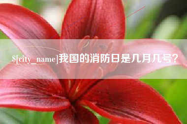 哈尔滨我国的消防日是几月几号？