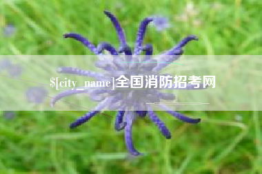 哈尔滨全国消防招考网