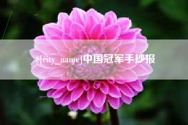 哈尔滨中国冠军手抄报