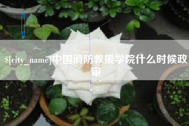 哈尔滨中国消防救援学院什么时候政审