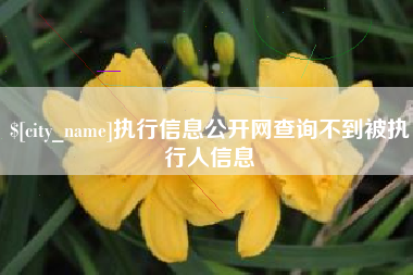哈尔滨执行信息公开网查询不到被执行人信息