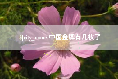 哈尔滨中国金牌有几枚了