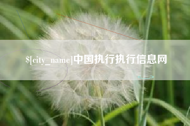 哈尔滨中国执行执行信息网