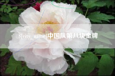 哈尔滨中国队第八块金牌