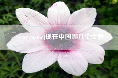 哈尔滨现在中国哪几个金牌