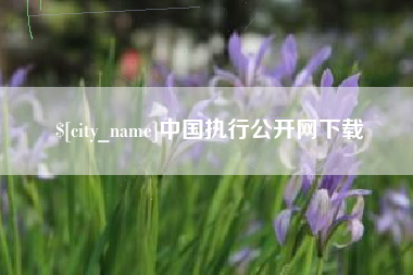 哈尔滨中国执行公开网下载