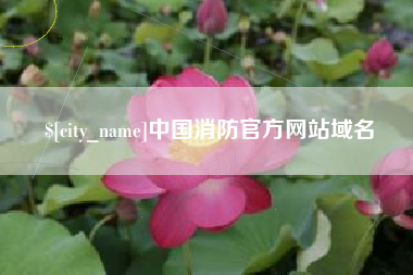哈尔滨中国消防官方网站域名