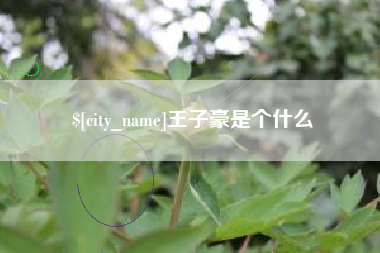 哈尔滨王子豪是个什么
