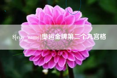 哈尔滨奥运金牌第二个九宫格