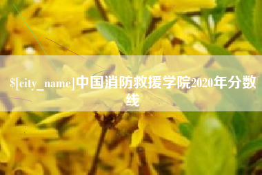 哈尔滨中国消防救援学院2020年分数线