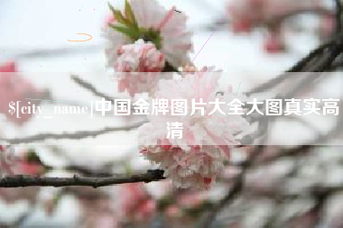 哈尔滨中国金牌图片大全大图真实高清