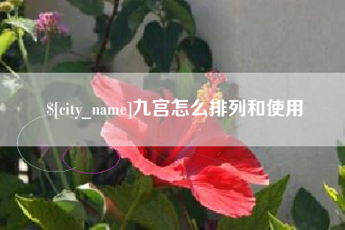 哈尔滨九宫怎么排列和使用