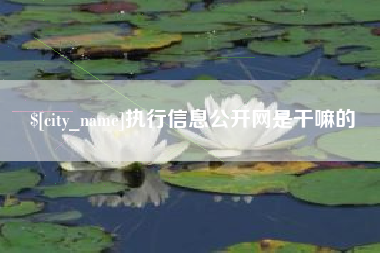 哈尔滨执行信息公开网是干嘛的