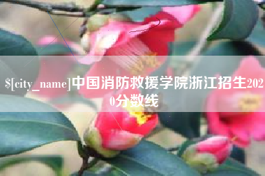 哈尔滨中国消防救援学院浙江招生2020分数线