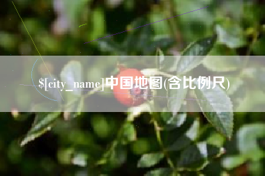 哈尔滨中国地图(含比例尺)
