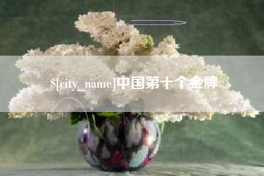 哈尔滨中国第十个金牌
