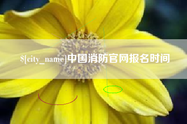 哈尔滨中国消防官网报名时间