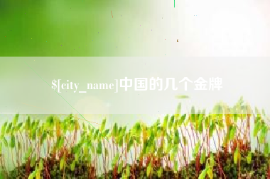 哈尔滨中国的几个金牌
