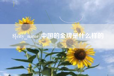 哈尔滨中国的金牌是什么样的
