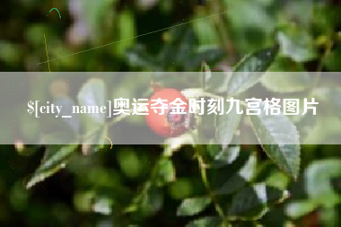 哈尔滨奥运夺金时刻九宫格图片