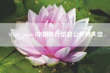哈尔滨中国执行信息公开网失信