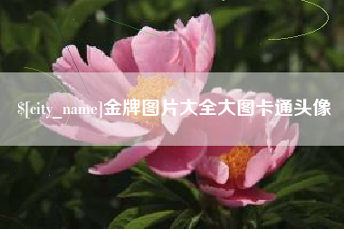 哈尔滨金牌图片大全大图卡通头像