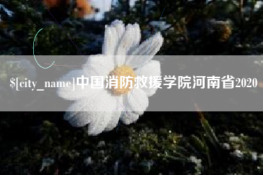 哈尔滨中国消防救援学院河南省2020